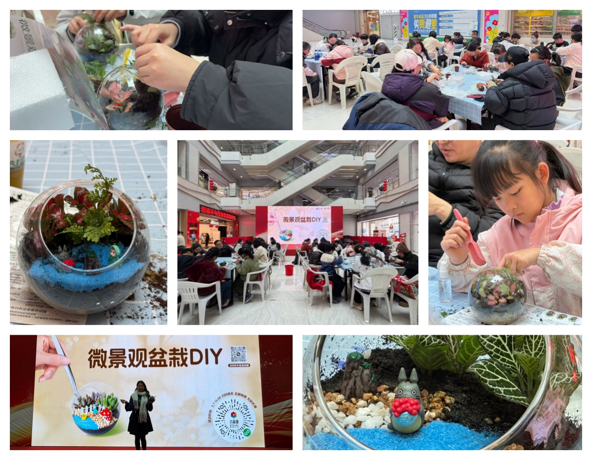 巧手造微景，指尖绽春意——水晶城微景观盆栽 DIY 活动圆满进行
